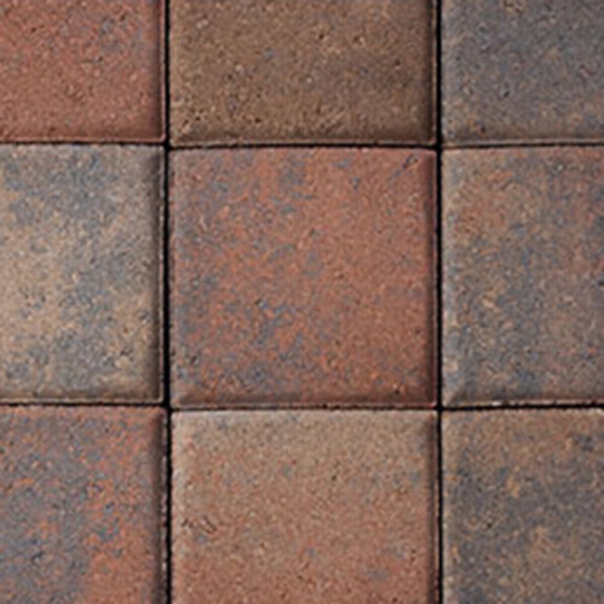Phoenix Paver Standard Tierra Norte Blend 6 in. x 6 in. 60 mm (100 sq